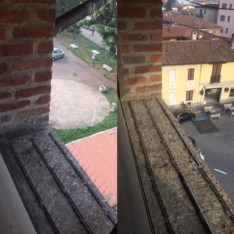immagine per 
